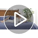 Love's Cabin Full/Queen Navy Blue Coin Pattern Lightweight Quilt Set - 3 Pieces