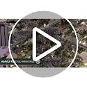 6.5-Ft Slim Mountain Pine Flocked Christmas Tree with Stand — Fraser Hill Farm