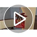 Golden Retriever Letter Christmas Ornament - Dog Lover Holiday Decor