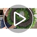 20'' Boxwood Wreath with White Sash - Artificial Front Door Decor