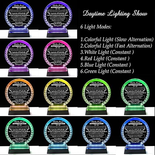 Boss Appreciation Gifts for Women Men with led Light - Great Boss Day Gifts for Best Boss Lady Desk Decoration Paperweight Present for Boss Leaving Retirement Birthday Christmas