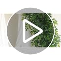 Artificial Greenery Stems - 36Pcs Italian Ruscus 20-Inch Fake Plant Spray for Wedding & Home Decor - Variation of THIS listing