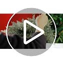 Watayo 45 Pcs Artificial Christmas Snow Pine Branches & Red Berry Stems - Snowy Style