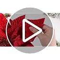 Suncalla 16-Inch Velvet Poinsettia Christmas Tree Topper - Classic Red