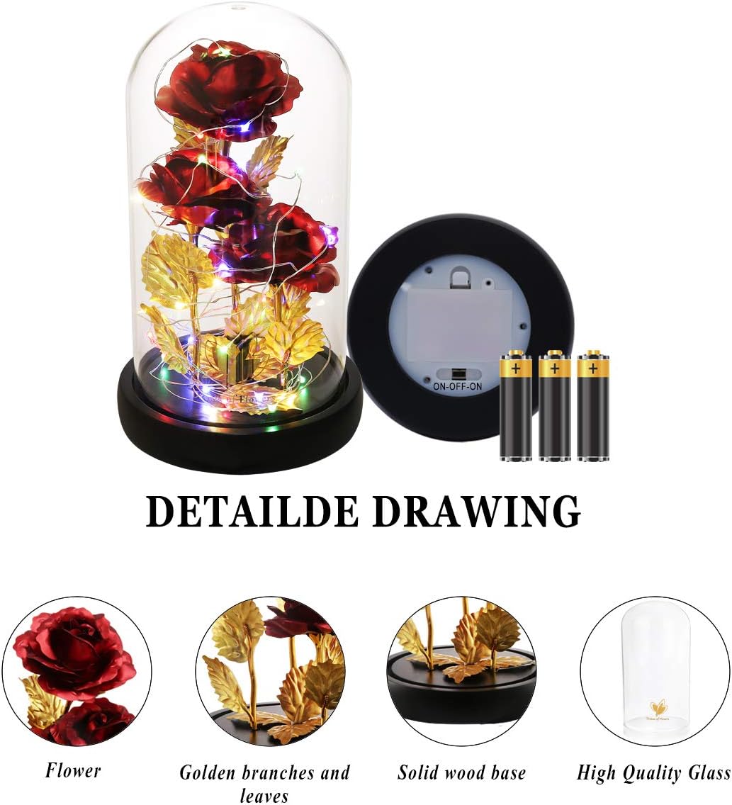 Birthday Gifts for Women,Beauty and the Beast Rose in Glass Dome,Preserved Rose with Warm Lights,Flower for Delivery Prime,Forever Flower Gifts for Women Mom Wife Girlfriend, Anniversary Birthday Gift