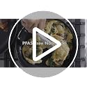 12-Inch Non-Stick Ceramic Frying Pan with Lid - Oven & Dishwasher Safe