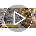 DWVO 9FT Prelit Flocked Pencil Spruce Christmas Tree with LED Lights - Slim & Full Decor