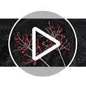 Suncalla 11.8" Crystal Picks for Christmas Tree Branches, Burgundy, 6