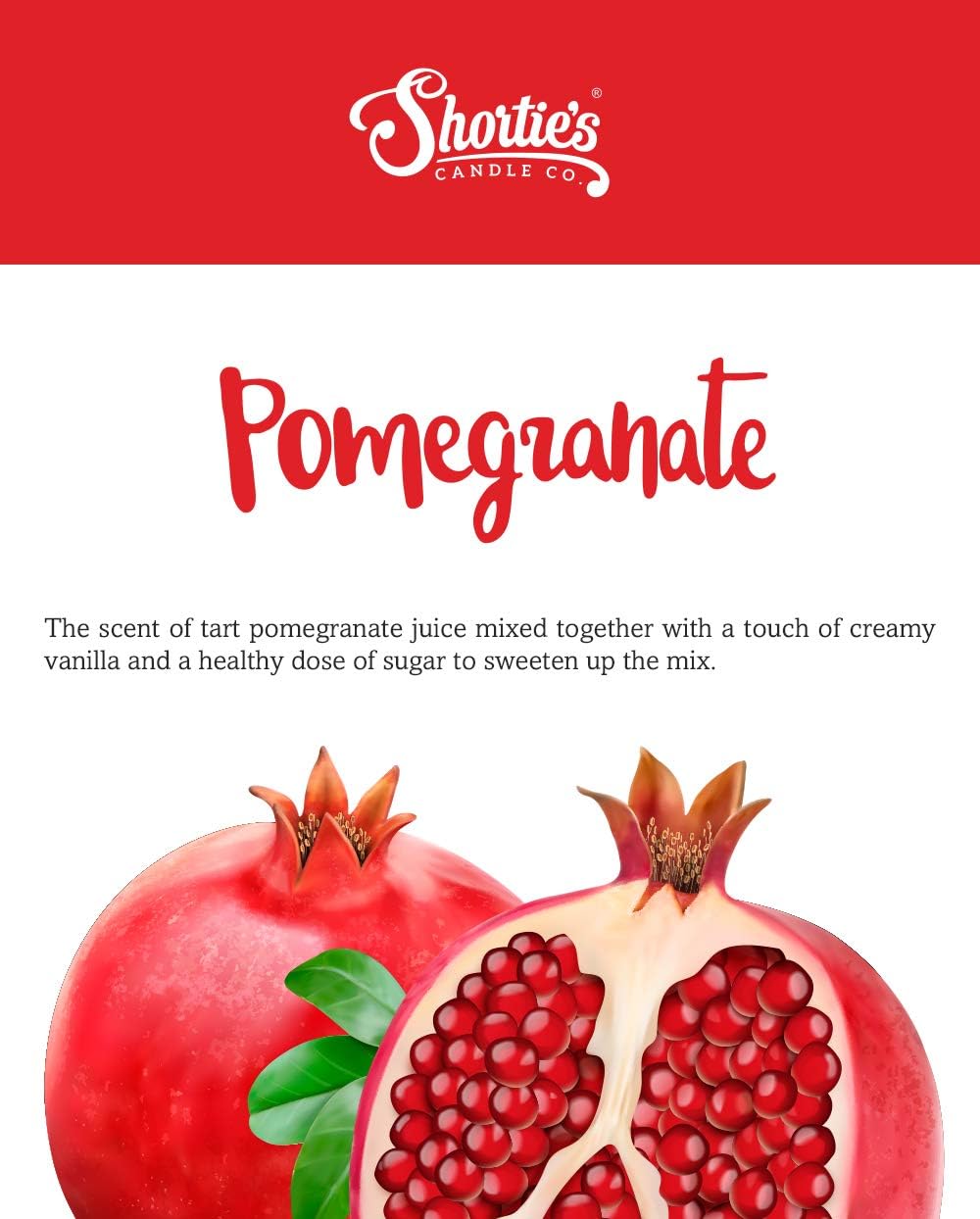 Highly Scented Sugarplum Cranberry Wax Melts Multi Pack - 6 Oz Natural Oil Air Fresheners for Christmas