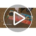 Evergreen Sassafras Fall Holiday Doormat Set with Interchangeable Inserts & Tray - V1