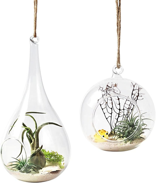 Glass Hanging Planter Set - 2 Pack Terrarium Vases for Succulents & Air Plants - Home Decor Gift