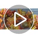 Fall Maple Garland 2 Pack Autumn Hanging Leaves Vines for Decor