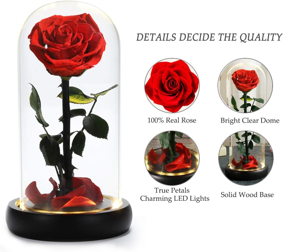 Birthday Gifts for Women,Beauty and the Beast Rose in Glass Dome,Preserved Rose with Warm Lights,Flower for Delivery Prime,Forever Flower Gifts for Women Mom Wife Girlfriend, Anniversary Birthday Gift