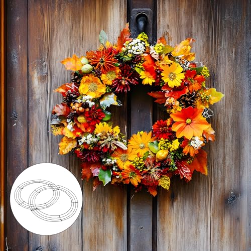 2 Pieces 12 Inch Wire Wreath Frame, Metal Round Wreath Form Black Wire Rings for Crafts Christmas Wreaths Tree Garland Floral Flower Arrangements New Year DIY Crafts Supplies and Holidays Decor