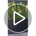 37-Inch Artificial Reed Grass with 14 Heads - Yellow-14, Lush Faux Tall Greenery, Garden & Home Decor