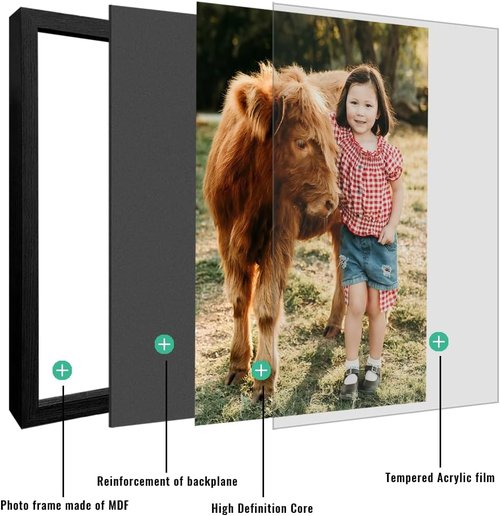 Canvas Prints | Custom Photo Wall Art by Skiennix - Framed Canvas Decor (12x16, Black Wood Frame)