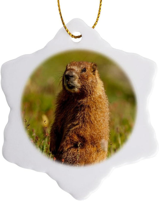 Yellow-Bellied Marmot Snowflake Ornament - San Juan Mountains, Colorado Decor
