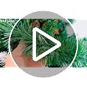 PAKSPAK 50FT-Green Christmas Tinsel Garland, White-Red? No, Green - 50ft Thick Metallic Faux PVC Outdoor/Indoor