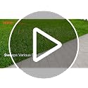VEVOR Green Walk-Behind Hand Push Floor Sweeper, 25.6-Inch Width, Manual Non-Electric Yard Sweeper