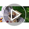Picnic Basket for 4 with Detachable Wine Table - Stripe, L Size