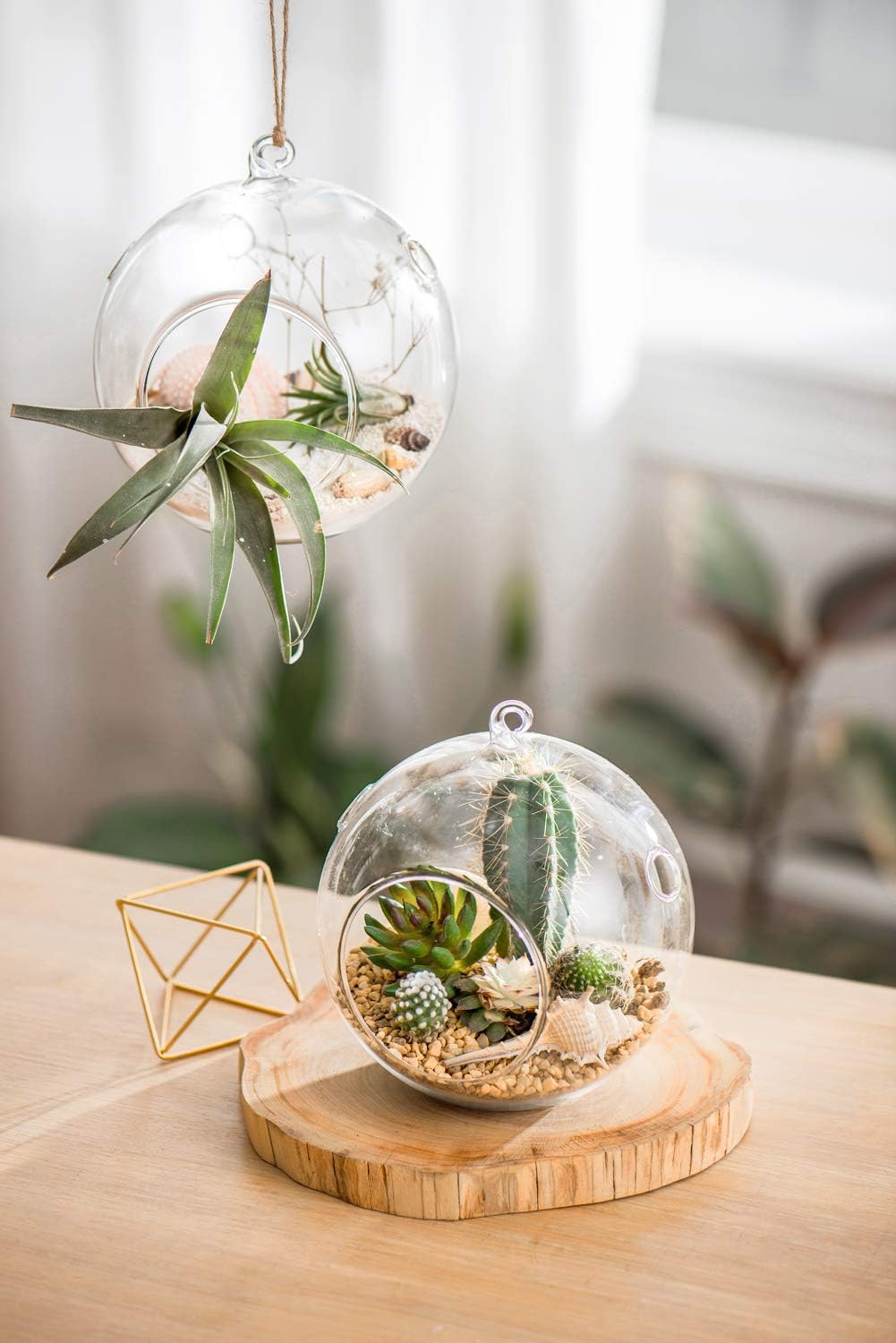 Glass Hanging Planter Set - 2 Pack Terrarium Vases for Succulents & Air Plants - Home Decor Gift