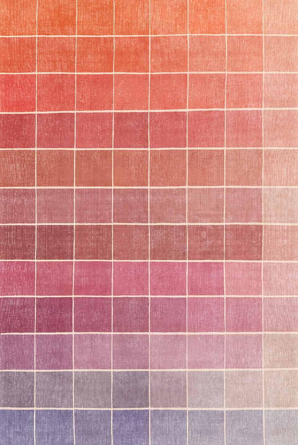 Skiennix Mid Century Modern Ombre Pink Checkered Rug - Washable Small Area Rug 2x3 for Entryway & Kitchen