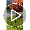 Autumn Orange Artificial Fall Flowers 20-Inch Ground Stakes - 2 Pack