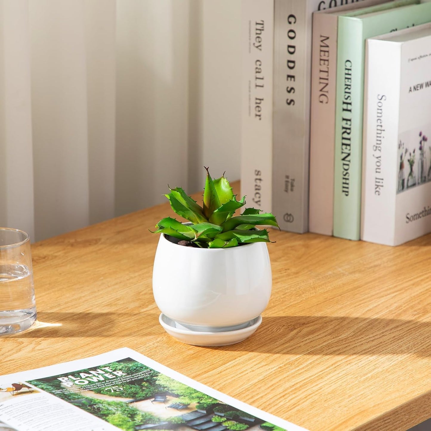 Vancasso Ceramic Plant Pots - 3-Pack Indoor Planters with Saucers & Drainage Holes | White, 3.7-6.2 Inch