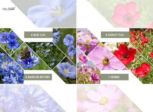 California Wildflower Mix - 5,000 Non-GMO Seeds | 17 Varieties for Vibrant Perennial & Annual Blooms