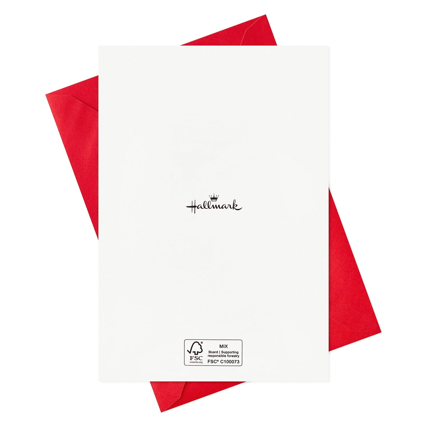 Hallmark Cute Boxed Christmas Card Assortment (24 Cards and Envelopes)