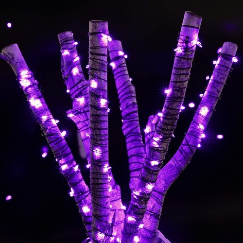 Brightown 24 Pack Fairy Lights Battery Operated, Halloween String Lights Waterproof Black Wire 7 ft 20 LED Firefly Starry Lights for Hallowen Decorations DIY Paper Lantern Craft Pumpkin (Purple)