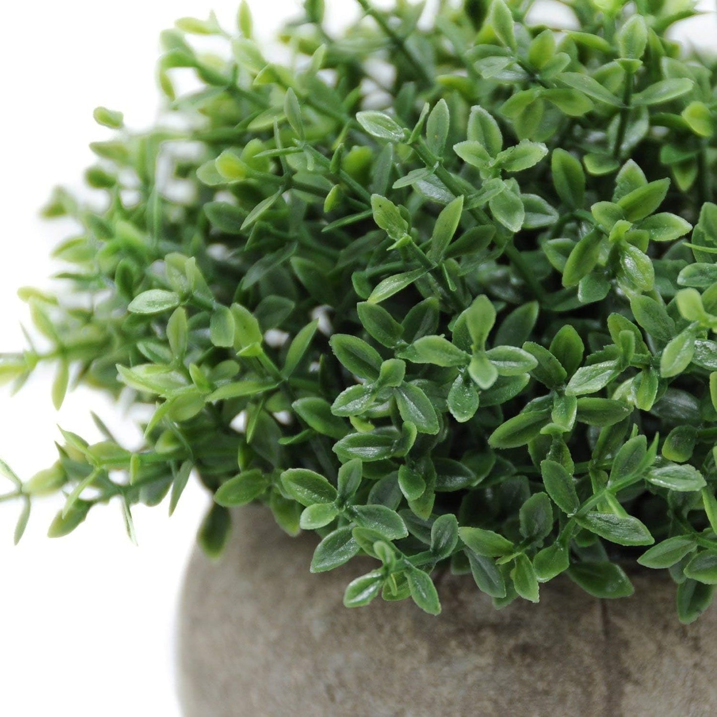 Mini Sage Green Boxwood Topiary - Artificial Potted Plant for Home & Office Decor