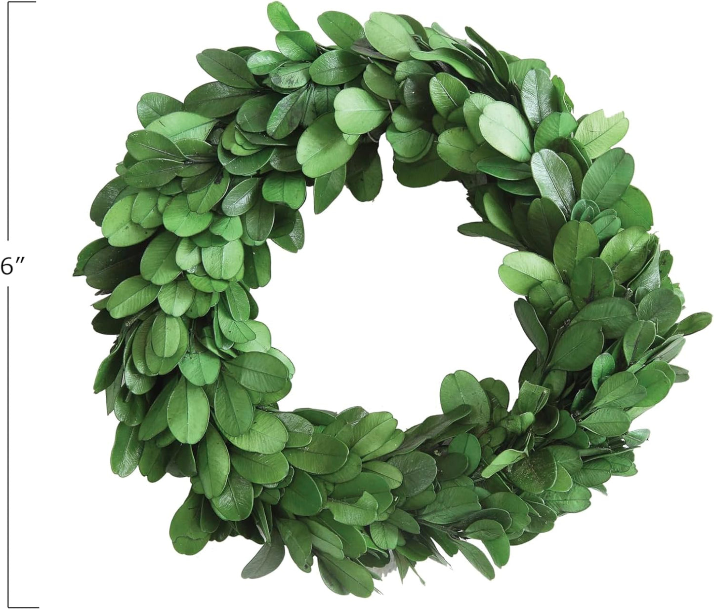 Preserved Boxwood Wreath - Authentic Decorative Greenery for Home Decor