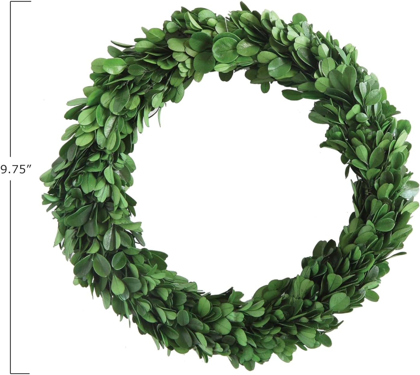 Preserved Boxwood Wreath - Authentic Decorative Greenery for Home Decor