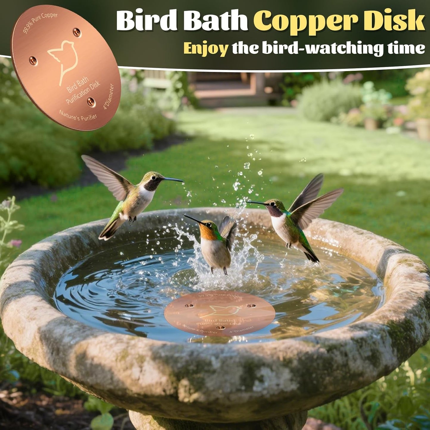 NNG Copper Bird Bath Purification Disk - 0.6mm Thick Reinforced 99.9% Pure Copper | All-Season Outdoor Cleaner