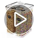 Standard 4 Pack Airtight Cereal Storage Containers 4L Set of 4 - DWËLLZA KITCHEN