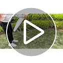 Vampire Killer 34-Inch White Square Folding Card Table - Heavy Duty Portable Dining & Picnic Table