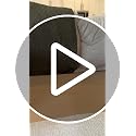 Heavy Duty Couch Support Board 30x68in for Sagging Cushions - Extra Wide Sofa Support