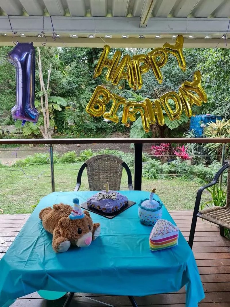 Purple Number 21 Balloon 40 Inch, 21st Birthday Party Decorations for Children, Giant 21 Foil Balloon for Party Supplies