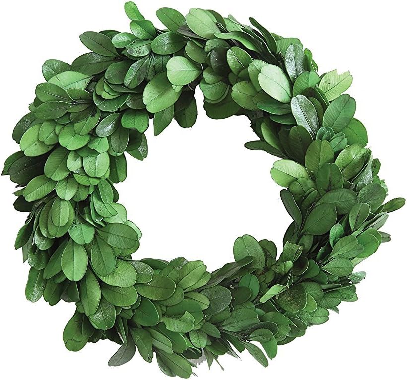 Preserved Boxwood Wreath - Authentic Decorative Greenery for Home Decor