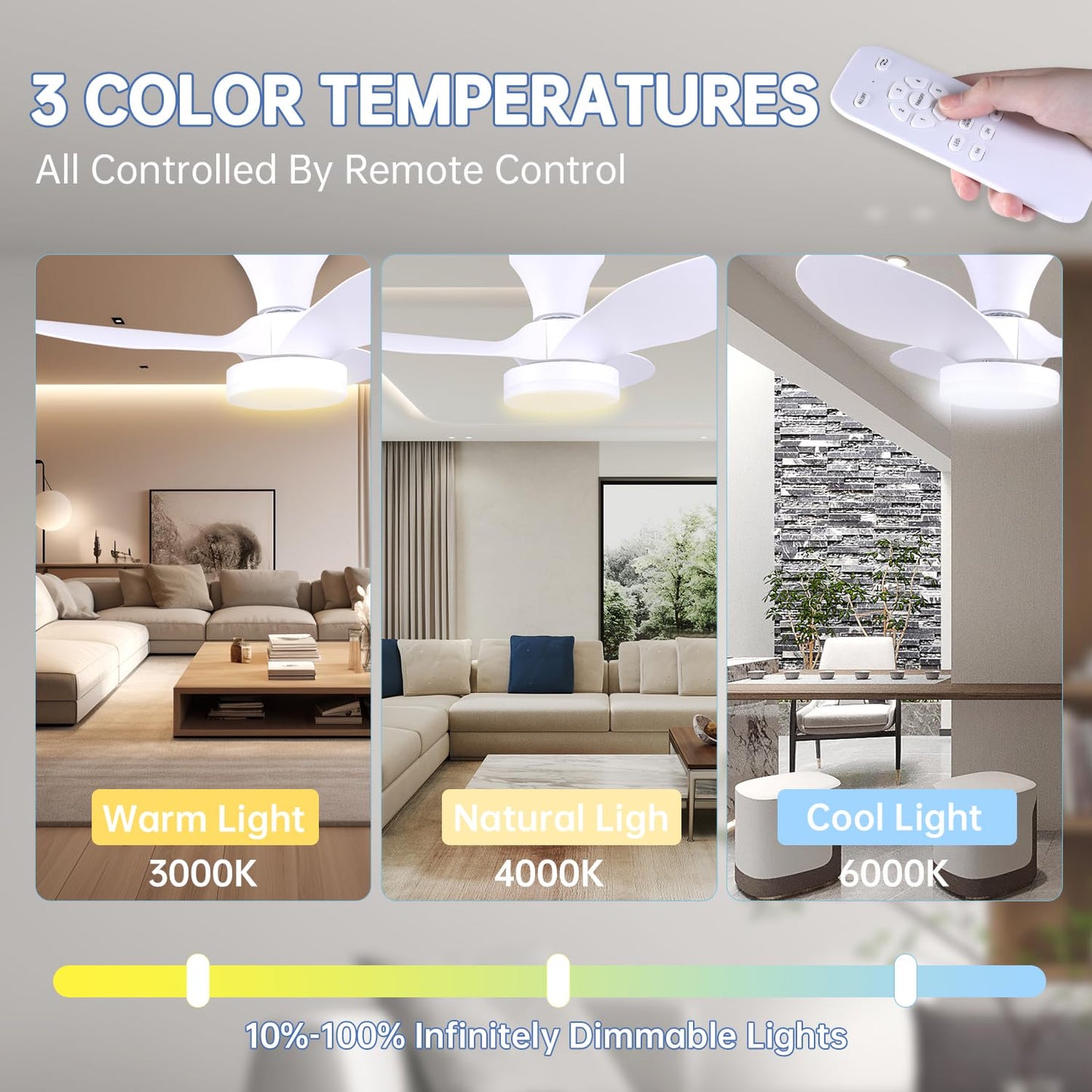 Ruhaieba Quiet Ceiling Fan with LED Light DC Motor 30 inch Large Air Volume Remote Control for Kitchen Bedroom Dining Room Patio (White)