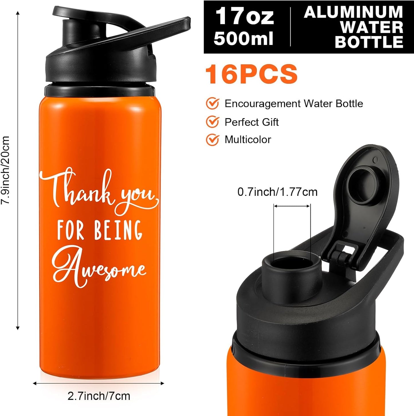 Pinkunn 16 Pcs Employee Appreciation Gifts Thank You Water Bottle Gifts for Team Staff Coworker Lightweight Leakproof Thank You for Being Awesome Gifts(Multicolor, 17 oz)