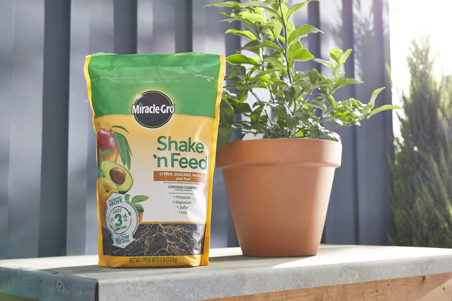 Miracle-Gro Citrus, Avocado & Mango Plant Food - Shake 'n Feed Formula, 8 lbs.