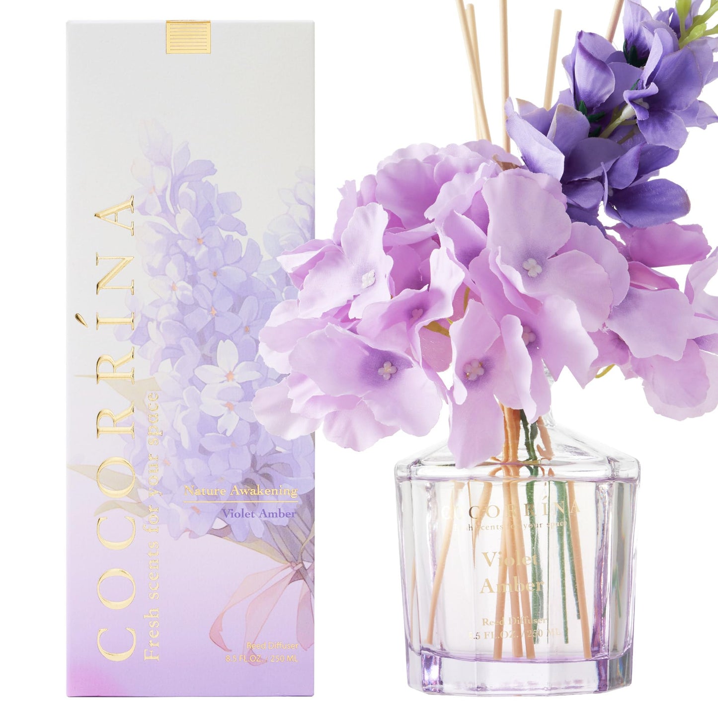 COCORRÍNA Reed Diffuser - Violet Amber 8.5oz Flower Reed Diffuser Set with 8 Sticks, Home Fragrance Reed Diffuser for Home Bedroom Office Bathroom Shelf Decor (Master Collection)