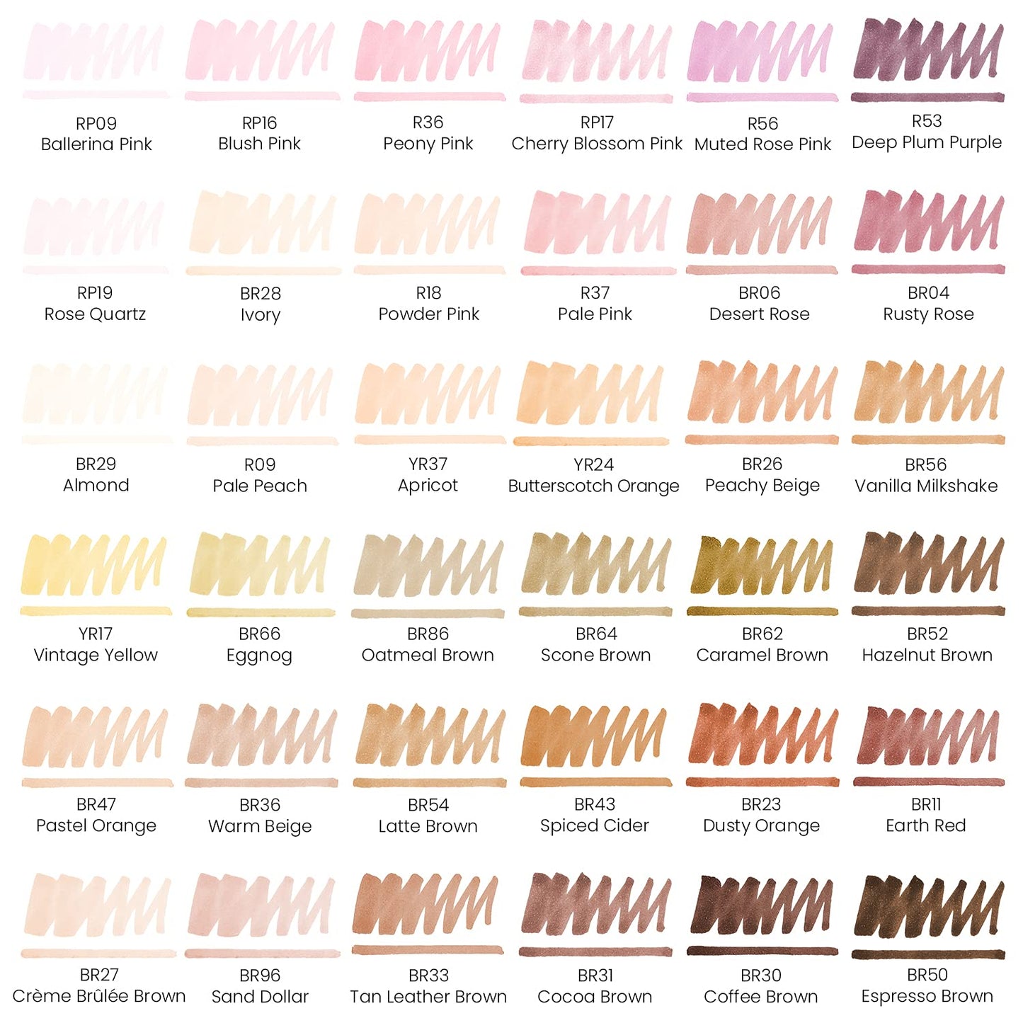 ARTEZA Alcohol Markers Set of 36 Colors Portrait & Skin Tone Dual Tip Markers with Organizer Box, Medium Chisel and Fine Nib