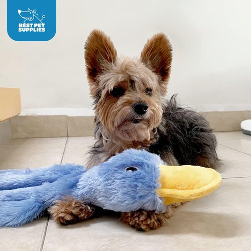 Best Pet Supplies Interactive Squeaky Dog Chew Toy - Durable Crinkle Duck for All Dog Sizes (Yellow)