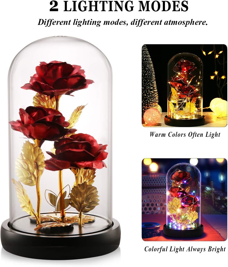 Birthday Gifts for Women,Beauty and the Beast Rose in Glass Dome,Preserved Rose with Warm Lights,Flower for Delivery Prime,Forever Flower Gifts for Women Mom Wife Girlfriend, Anniversary Birthday Gift