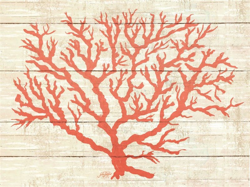 4 Cala Home Premium Hardboard Placemats Table Mats, Coral