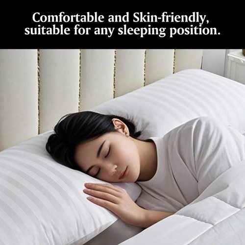 Beautyrest Luxury Goose Feather Pillows - Soft & Supportive 500 Thread Count | Queen 20”x28” (Pack of 2)