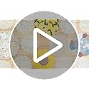 Embroidered Lace Doilies Placemats Set of 6, 12 Inch Non Slip Retro